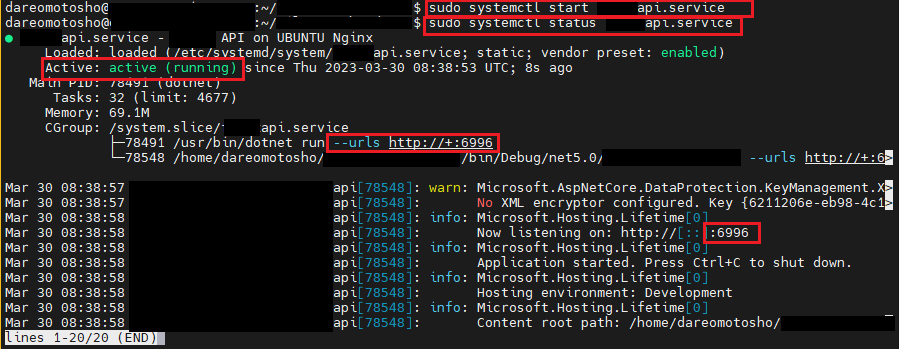 How To Deploy Dotnet API Application To Ubuntu Server With Nginx Proxy Server